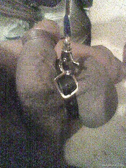 Suck my black cock