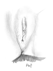 Project 1 - Paint my Pussy