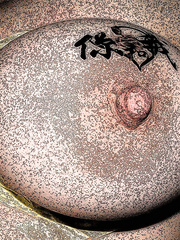 Tit And Nipple Art 1