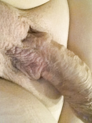 Ma petite bite de 12 cm dont j''attends un avis de ces dames