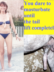 Rosmary Dreams Cock Horse