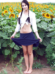 Ravishing youthful Vanessa in pigtails widening slender wazoo exposed in the sunflowers