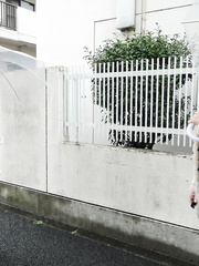 Miniature Japanese gals Jun Sena & Asakura Kotomi receive team-fucked by mature gentleman