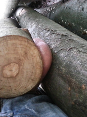 Low Hangers some pictures about my way for low Hangers