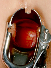 Bobbi Starr and Calico have a hawt SADOMASOCHISM session with some sex electric toys