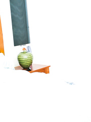 Breasty dark brown female Jewels Jade seduces her stepson after a shower