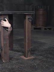 Hawt serf Aria Alexander acquires power fed some bog darksome dick in coarse SADOMASOCHISM sex