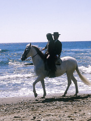 Native girl Brenda is rescued by her hero and shows gratitude with a oral job