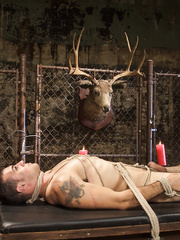 Bulky cougar Mz Berlin roughly dominates over inexperienced youthful villein