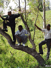 Youthful blond whore receives banged by dark males in wooded backyard