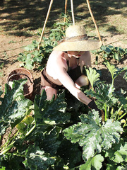 Older woman Mary Doxy shoves seasonal veggies up her love tunnel in garden