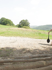 A day in nature fully nude and happy having photos taken in public