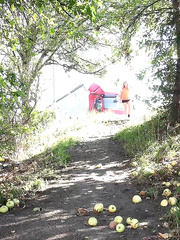 White gal Loreen exposes her shaved snatch whilst squatting for a pee in the woods