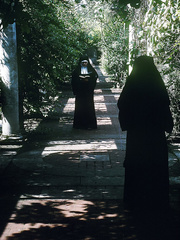 A collection of retro pornstars from the 70s and 80s doing nasty things