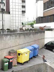 Blond legal age teenager Suzzie baring her bawdy cleft lips and hot wazoo and pissing in public