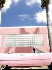 Those Playboy stunners show off their hotty in various erotic fotos