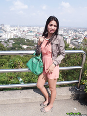 Thai dilettante exposes her tiny love melons after an alcoholic swallow or 2