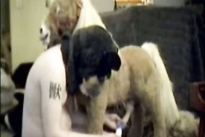Cuckold funny videos-It's Not What It Looks Like