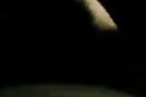 Long haired Indian nympho is blowing my dick like there is no the next day