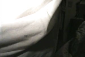 Prurient white women sucks my pecker with unbridled excitement until I cum