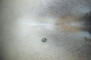 My neighbor's slutty wife loves to receive screwed in the booty and love tunnel
