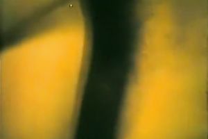 Retro porn scene with 2 excited brunettes sharing one dick in trio