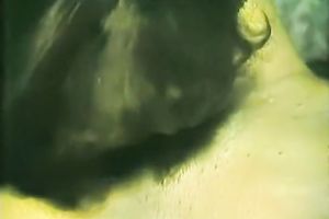 Retro porn scene with 2 excited brunettes sharing one dick in trio