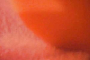 A large fake penis and a small sex toy all for my hairless snatch