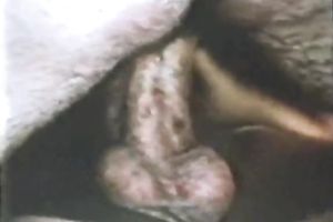 Busty and perverted dark brown receives double permeated