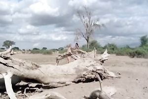 Elegant taut ebon hotwife receives caressed by her white girlfriend outdoors