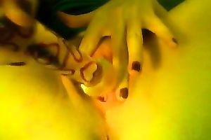 Solo episode with me slamming my smooth slit with a dildo