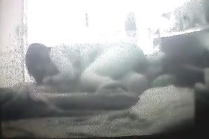 Having 69 style oral-sex sex with my Indian voluptuous black cock sluts