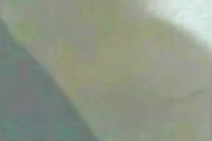 Tangling my palpitating dong in the straps of my concupiscent girlfriend