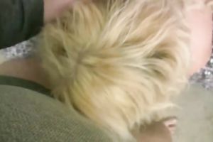 Slutty blond sucks a prick and licks balls in POV movie scene