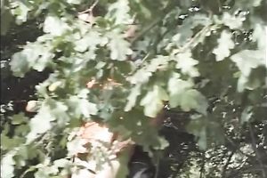 Lewd non-professional legal age teenager playgirl gives head to a stud in a forest