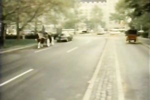 White horny and pecker hungry slut takes it in her face hole