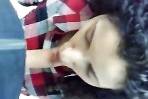 Charming Indian white bitch with hirsute hair is giving excellent blow job. POV