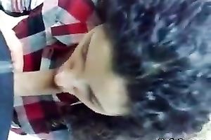 Charming Indian white bitch with hirsute hair is giving excellent blow job. POV