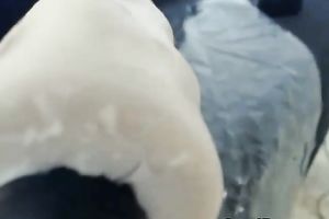 Busty Hot Wife Deepthroats like a Pro