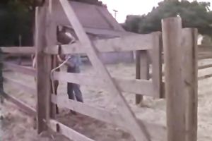 Retro porn compilation with missionaty style banging