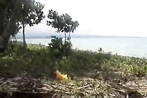 Amateur Asian slutwife acquires her hairy cunt pounded remarcably well