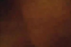 Brown-haired cutie sucks my shaft previous to taking a ride on it