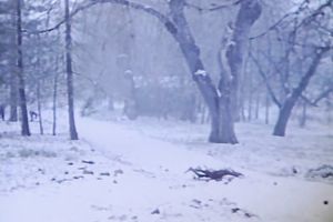 Five sexy and sexy muscular hotties take a shower jointly