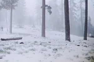 Five sexy and sexy muscular hotties take a shower jointly