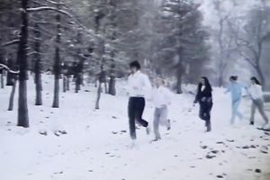 Five sexy and sexy muscular hotties take a shower jointly