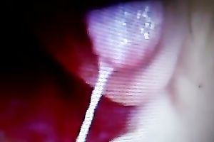 I suck my hubby's rod with great excitement until I receive the cum I desire