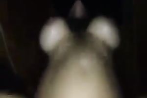 When my black cock sluts rides me backwards that babe makes these massive titties jiggle