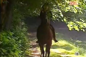 Horny and hot blondie wench with n=awesome meatballs acquires shoved