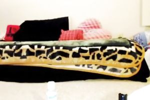 Skanky legal age teenager in knee socks bonks her arsehole with her sex toy