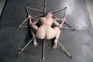 Bounded honey with no hair on her head is restrained by her dominant